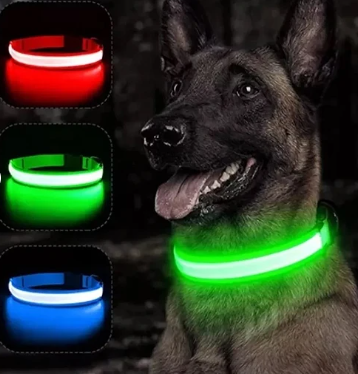 COLLAR LED PARA MASCOTAS ✨🐾