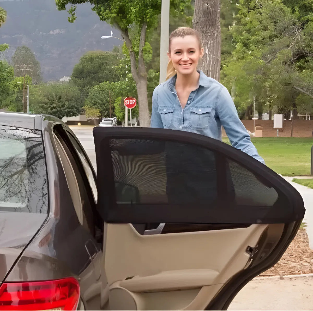 Parasol para la ventana del coche 2pack