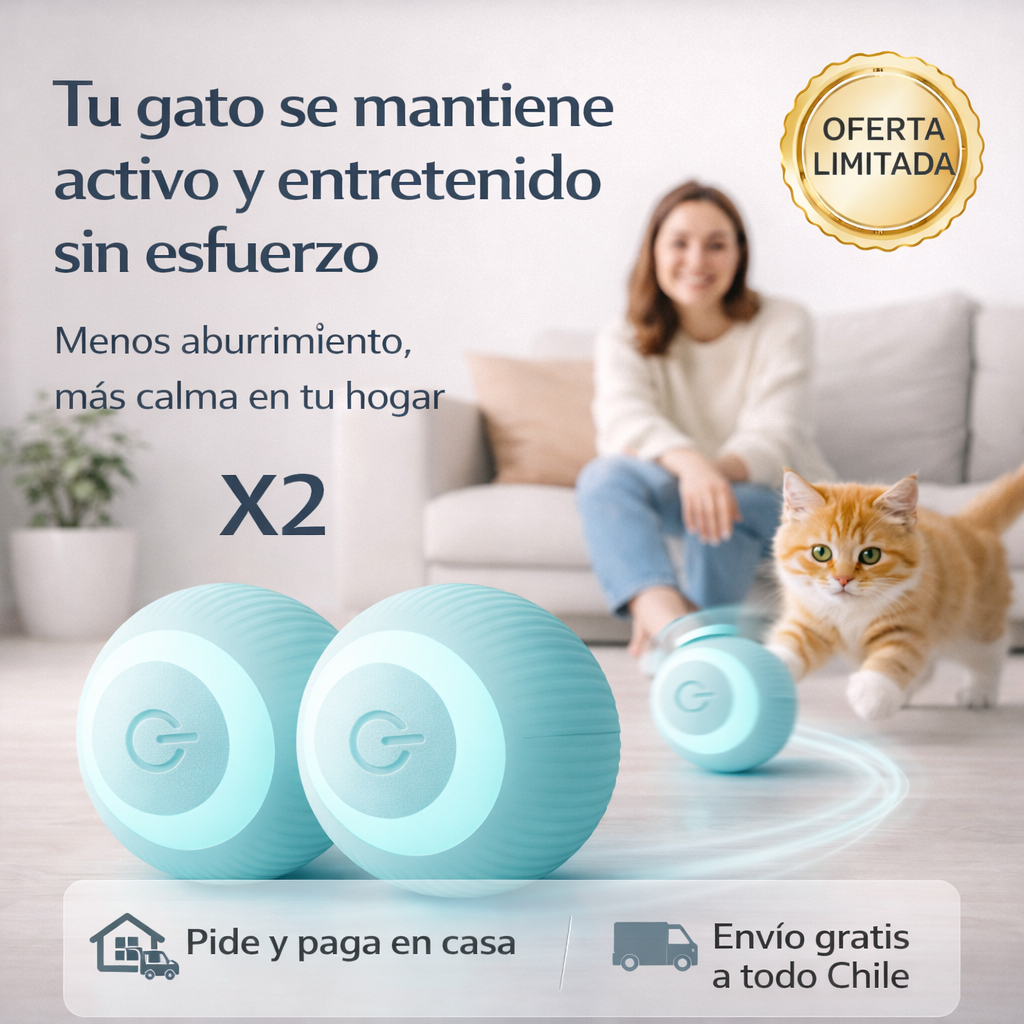 PlayRoller X2⚽🐱  ¡Diversión continua para tu gato!